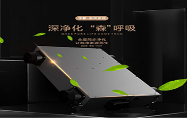 巴迪斯新品——黑金·系列，即將登場